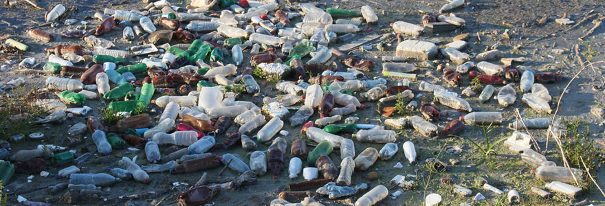 Pollution de bouteilles en plastique sur une plage